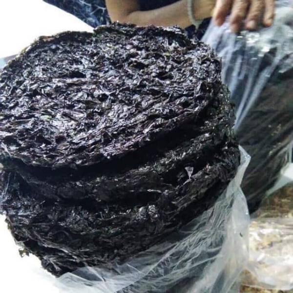 Rong biển  Khô — 1kg 2 cây - ảnh 4